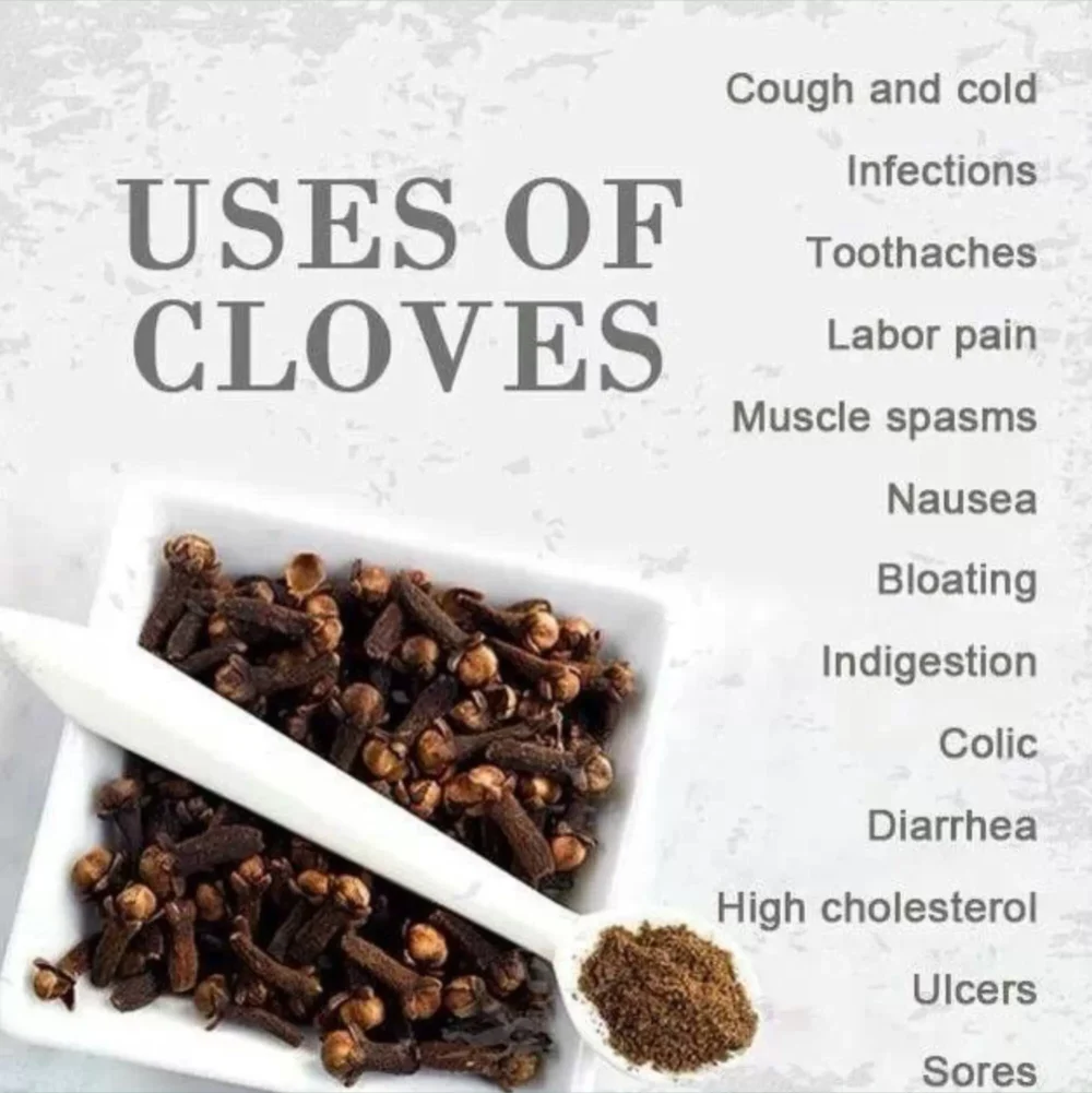 Clove - Image 4