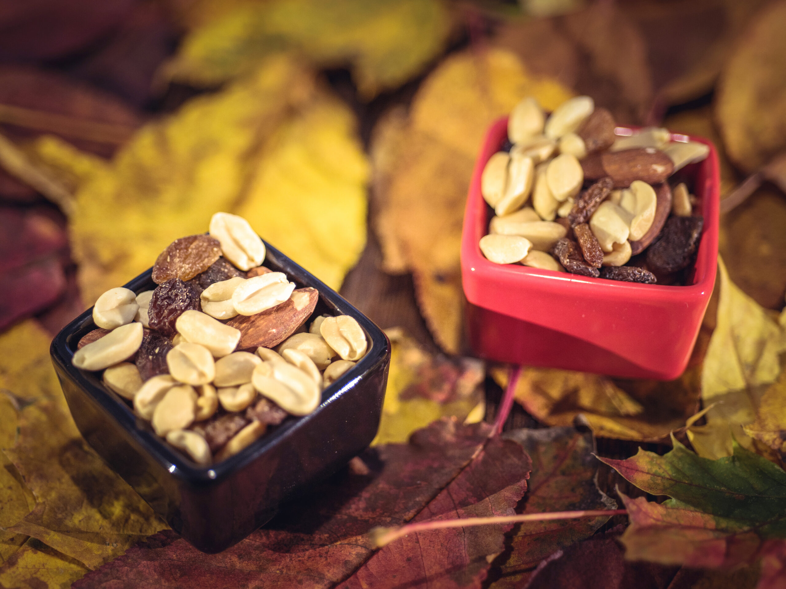 high protein dry fruits 1 scaled