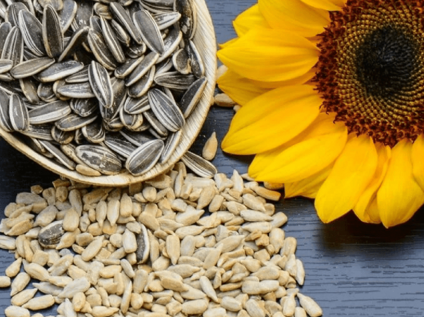 Natural Immunity Boosters Natural Immunity Boosters