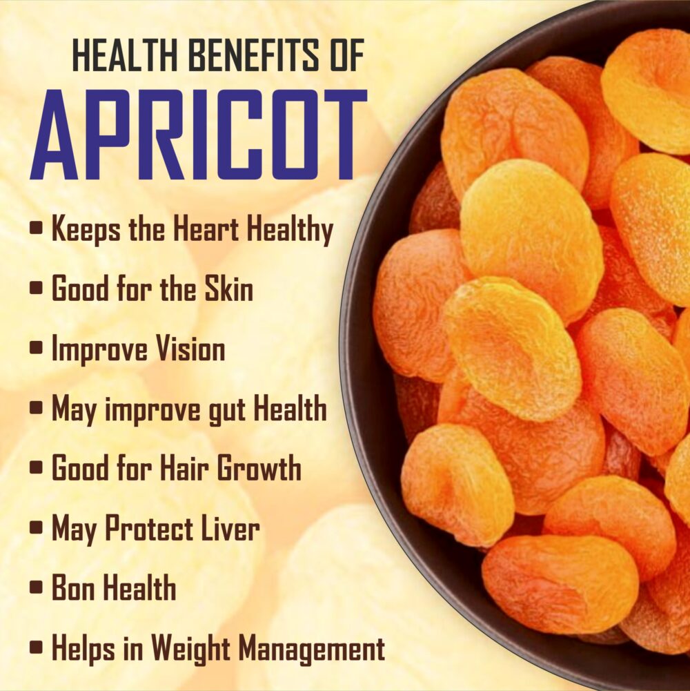 Wet Apricot (Aloocha) [Turkish Apricot] - Image 7